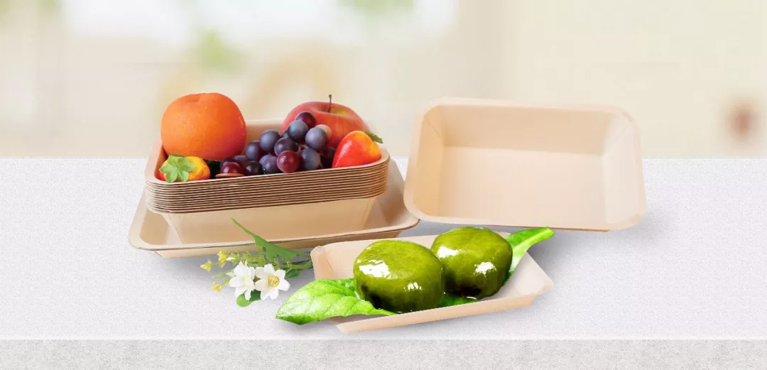 1554969983715955.jpg 2.jpg